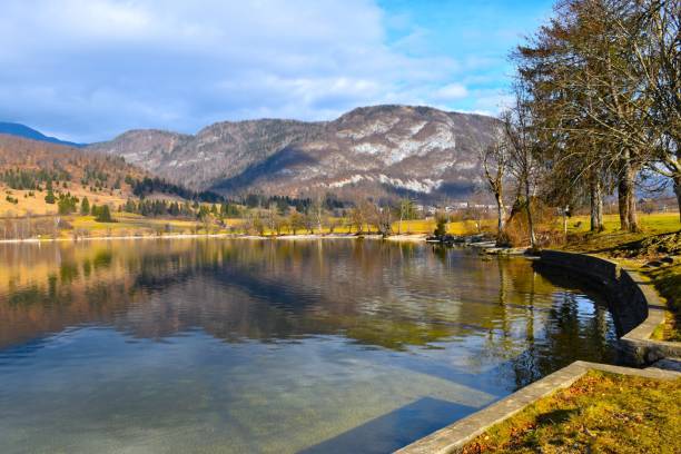 ufer des bohinjer sees mit einer spiegelung in den mit wasser und wald bedeckten bergen in den julischen alpen, slowenien - julian alps mountain lake reflection stock-fotos und bilder