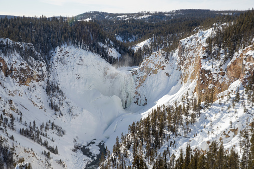 Lower Falls at Canyon in Yellowstone National Park frozen due to the extreme cold in the Wyoming winter.