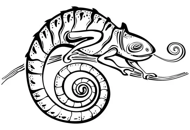 Vector illustration of Black outline Chameleon on white background,
