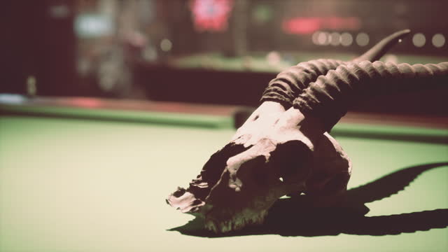 A bull skull on top of a pool table