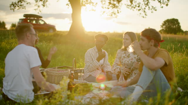 Five diverse Multiethnic Young Friends have a picnic, eat, drink, smile, talk