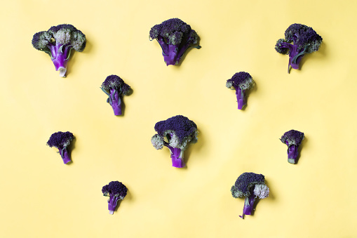 Violett broccoli on yellow background, flatlay