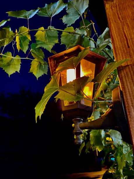 istock Street lamp 1968390380