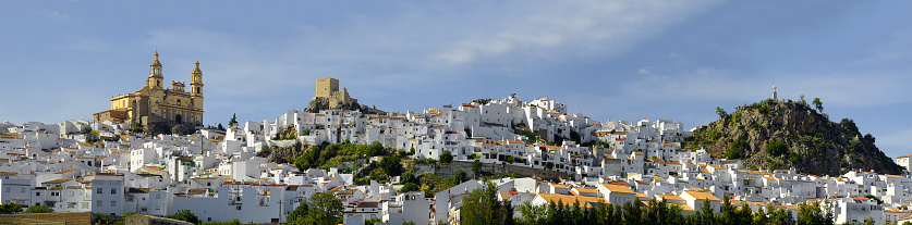 The magical hilltop town of Olvera. A Place in the Sun, the white village of Olvera in the Cadiz province, Andalucia, Spain