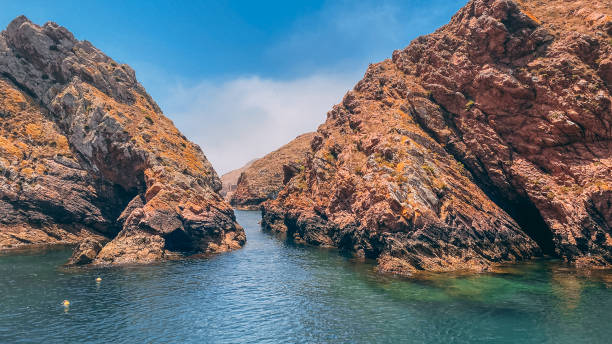 istock Rough coast of Berlenga Grande island 1968515540