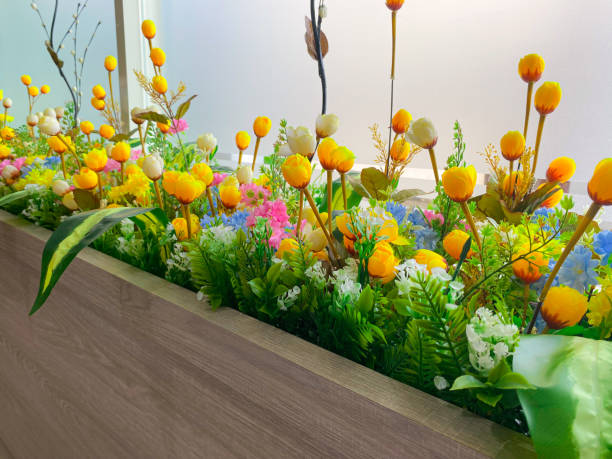 istock beautiful indoor flower garden decoration 1968515546