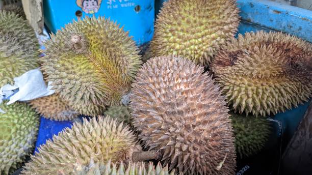 istock closeup an durian fruit on market 1968535392