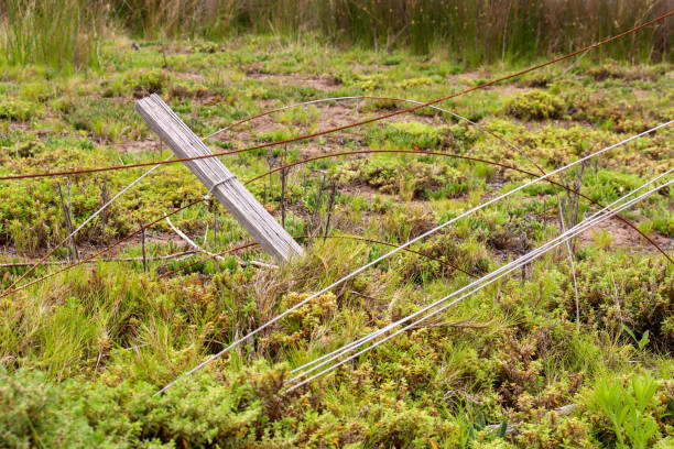 istock fence fallen and in disrepair 1968539639