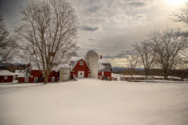 istock Beautiful red barn on a snowy winter afternoon 1968547010