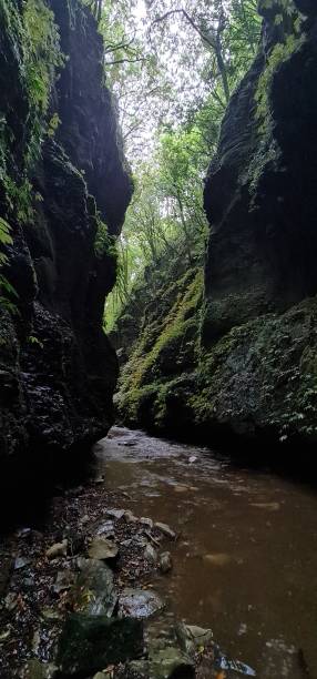 new zealand cave dving
