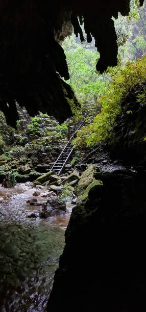 new zealand cave dving