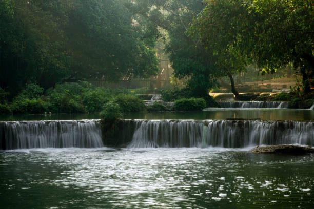 small waterfall in green forest stock photo