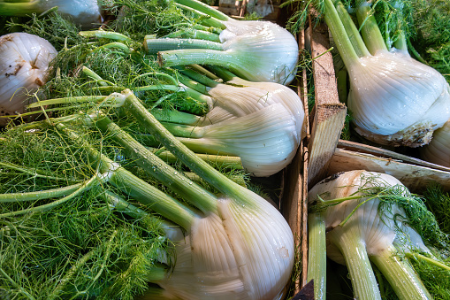 Palermo, Sicily, Italy  Fresh fennel in crates at a farmer's market.