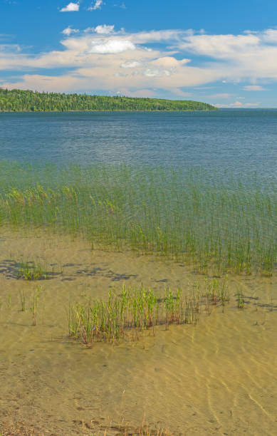 Summer Day on a North Woods Lake