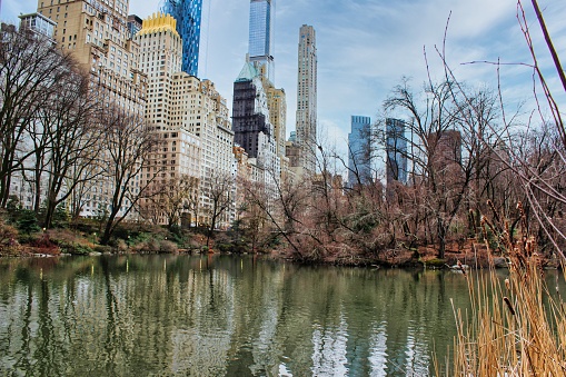 Central Park pond in NYC