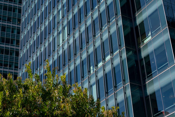 Skyscrapers and lush trees in morning light