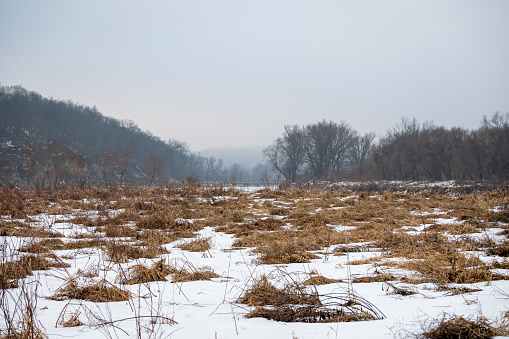 Riverbank Praire in Iowa Winter