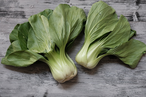 Pakcoy or bok choy, also known as mustard spoon, is easy to cultivate and can be eaten fresh or processed into pickles. Brassica rapa subsp. chinensis.