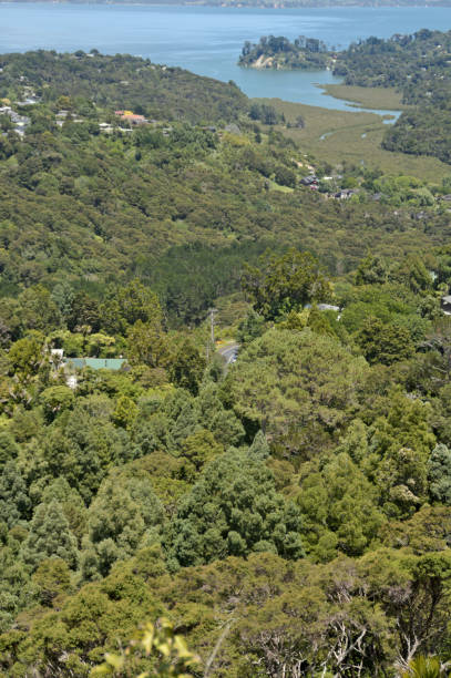 istock Titirangi Langholm Bay 1968935373