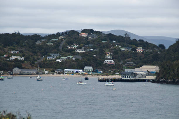 Oban, Stewart Island
