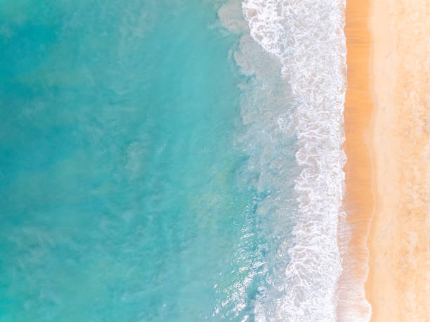 istock Top view beach with waves crashing on sandy shore,Beautiful waves sea surface in summer seascape background,Amazing beach colorful water background 1968938592