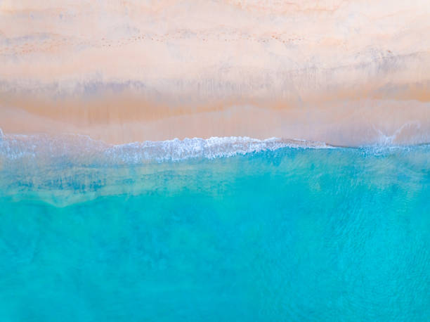 istock beach sea nature background 1968938597