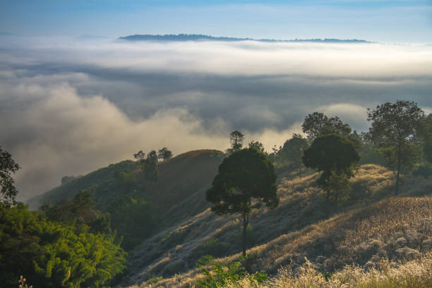 istock landscape view in the mountain 1968950153