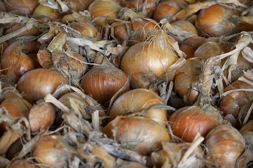 Large pile of onions with varying colors, including shades of brown, yellow, and white densely arranged on a surface