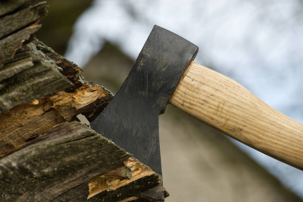 Black hatchet with a wooden handle lodged upright into a piece of wood or tree stump in the blurred background shed, denoted by shingled roof and wooden walls