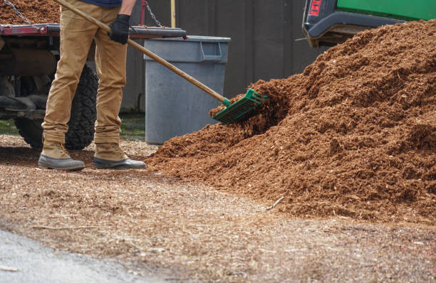 istock close up on outdoor worker working on adding mulch in the garden 1969006370
