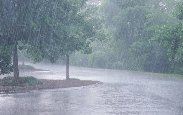 istock trees and heavy rain outdoor in summer thunderstorm 1969010020