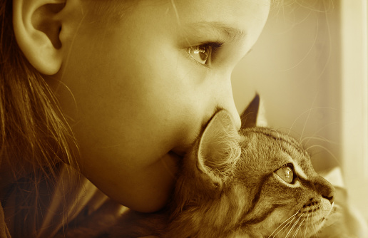 Portrait of cute girl with funny kitten, face to face, close up. Domestic cat and child. Love, care, talking with friends. Looking away. Monochrome toned