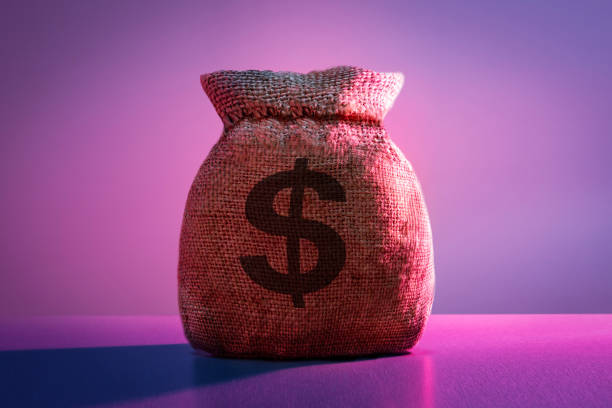 money bag with dollar sign on color background.