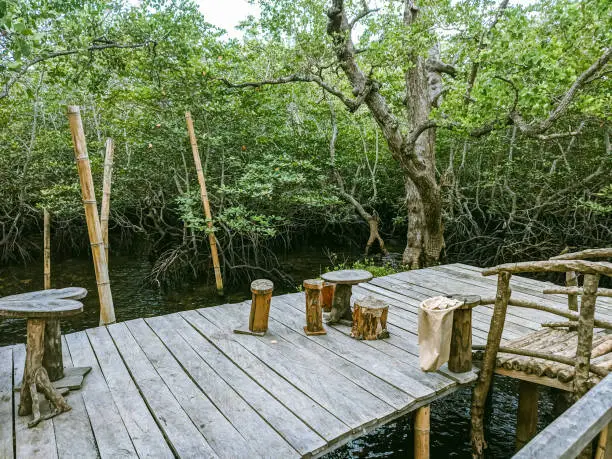 Photo of Mangrove natural tourist attractions in Maumere, Flores, Talibura.