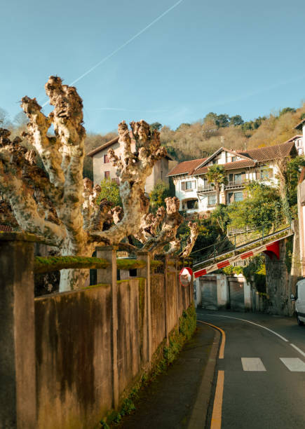 istock San Sebastian,Basque country in Spain 1969185984