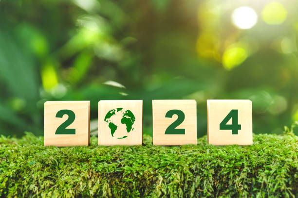 istock ESG concept ,Sustainable development goal (SDGs) Ideas for Sustainable development wood cube block  on a green forest nature SDGs, ESG, NetZero, and co2 concept 1969215917
