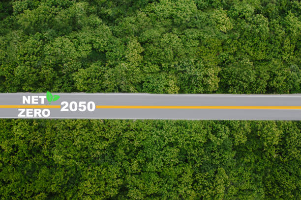 istock Carbon neutral and net zero environment A climate-neutral long-term strategy greenhouse targets on nature background 1969216941