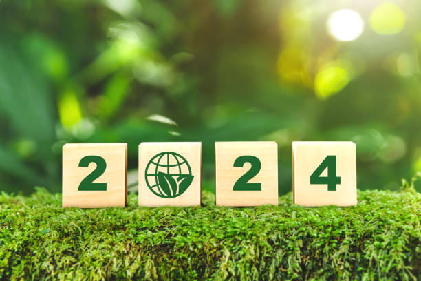 istock ESG concept ,Sustainable development goal (SDGs) Ideas for Sustainable development wood cube block  on a green forest nature SDGs, ESG, NetZero, and co2 concept 1969216949