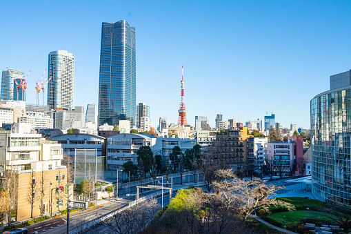 Tokyo, Japan. January 9, 2024. Panoramic view of the city with the Tokyo Tower in the background