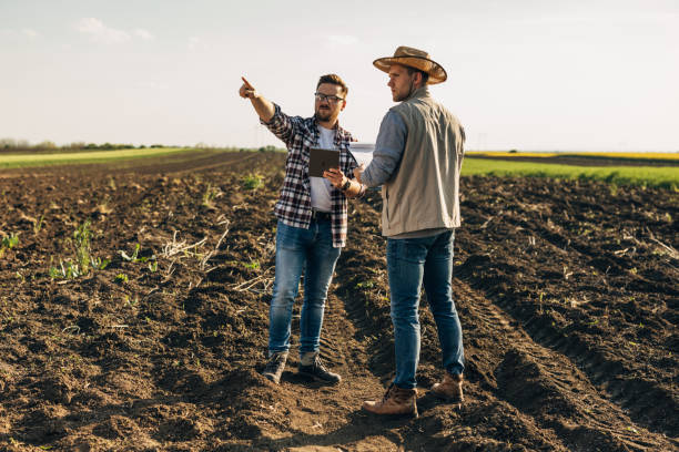 istock farmers on field 1969262457