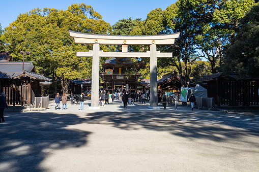Red Japanese gate, torii in a botanical garden