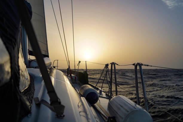 istock Canary Islands, Cruise 1969281894