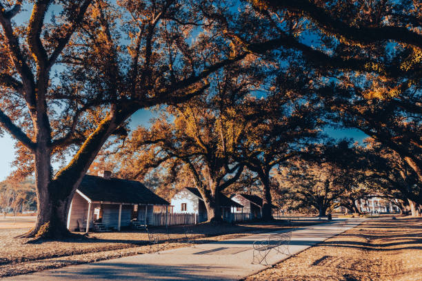 Oak Alley Plantation, New Orleans, Louisiana in a beautiful sunset