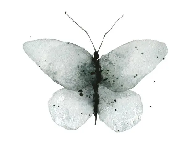 Vector illustration of Watercolor grunge style gray, blue and black butterfly in front. Hand drawn illustration.
