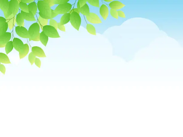 Vector illustration of Fresh greenery and sky background frame