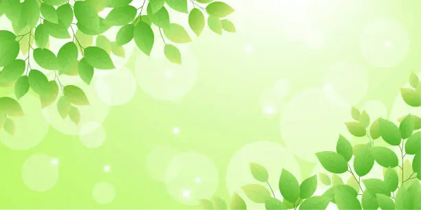 Vector illustration of Shining fresh green background frame (2:1)