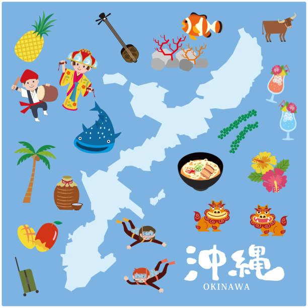 okinawa tourismus reiseillustration - shuri castle stock-grafiken, -clipart, -cartoons und -symbole