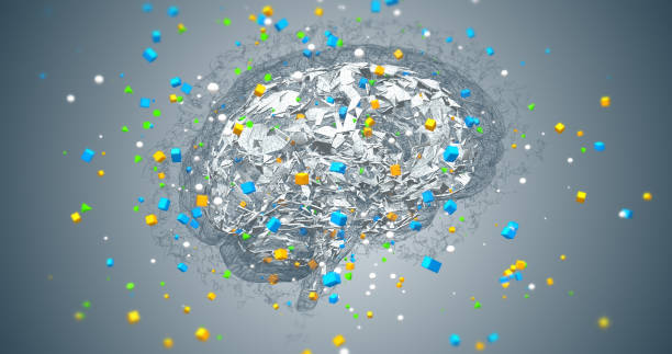 istock Exploring the Boundaries of the Digital Human Brain 1969384757