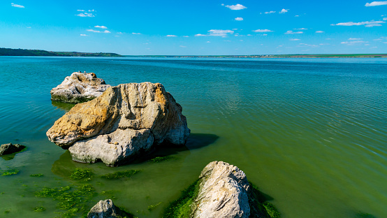 Eutrophication of the Khadzhibey estuary, blooms in the water of the blue-green algae Microcystis aeruginosa and the mass development of the green algae Enteromorpha sp.