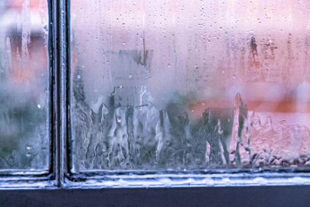 istock Icy window domestic reality Surrey England 1969412842